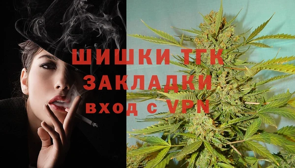 тгк Каменногорск