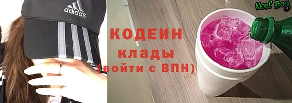 СК Инта