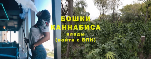 тгк Каменногорск