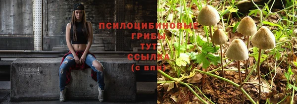 тгк Каменногорск