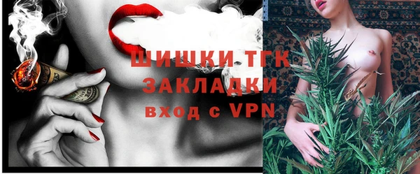 тгк Каменногорск