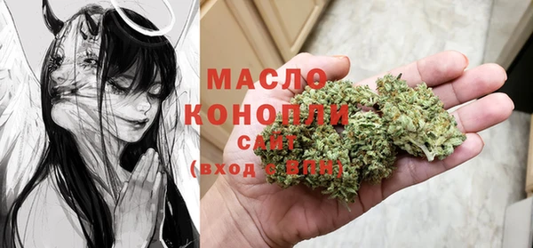 тгк Каменногорск