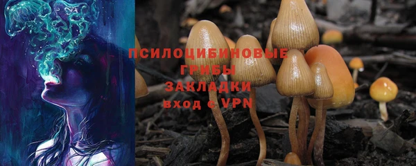 дмт Иннополис