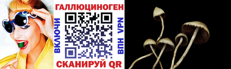 Псилоцибиновые грибы MAGIC MUSHROOMS  Калининск 