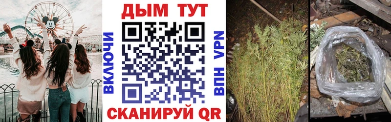 Марихуана семена  Калининск 
